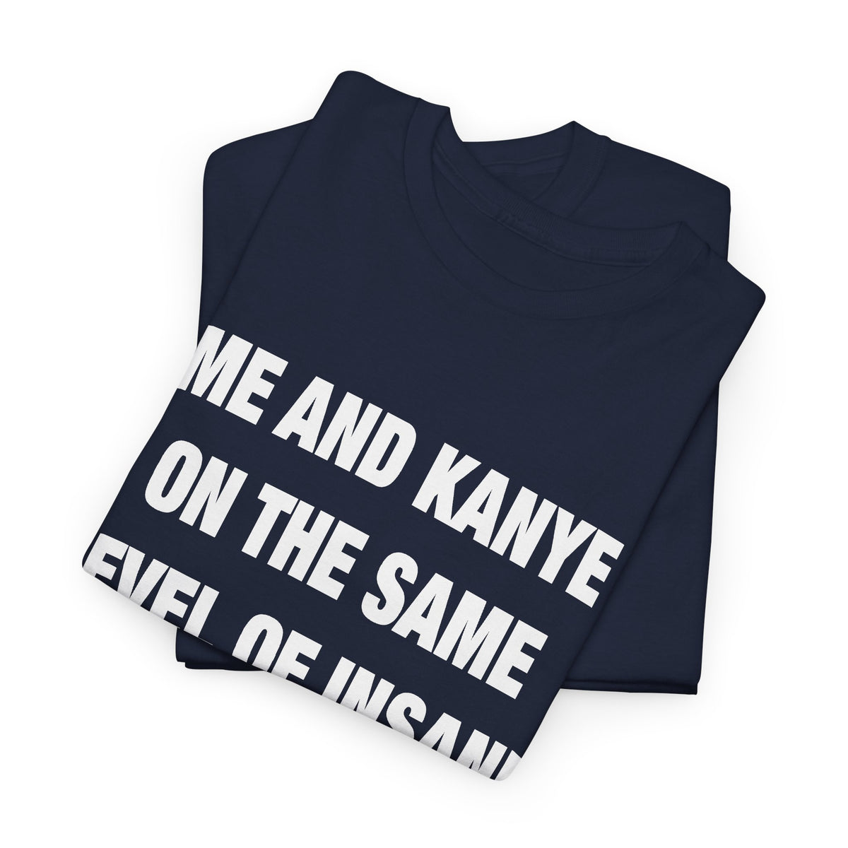 Me and Kanye on the Same Level of Insane T-Shirt