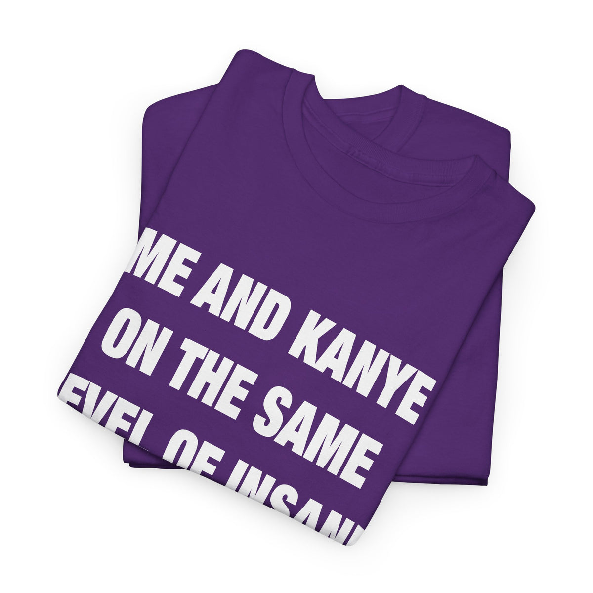 Me and Kanye on the Same Level of Insane T-Shirt