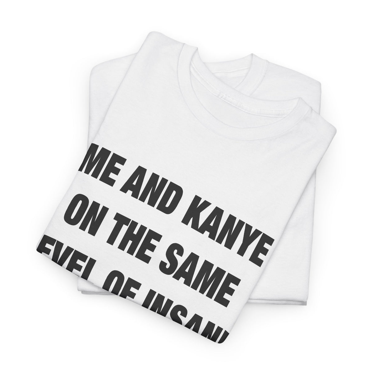 Me and Kanye on the Same Level of Insane T-Shirt