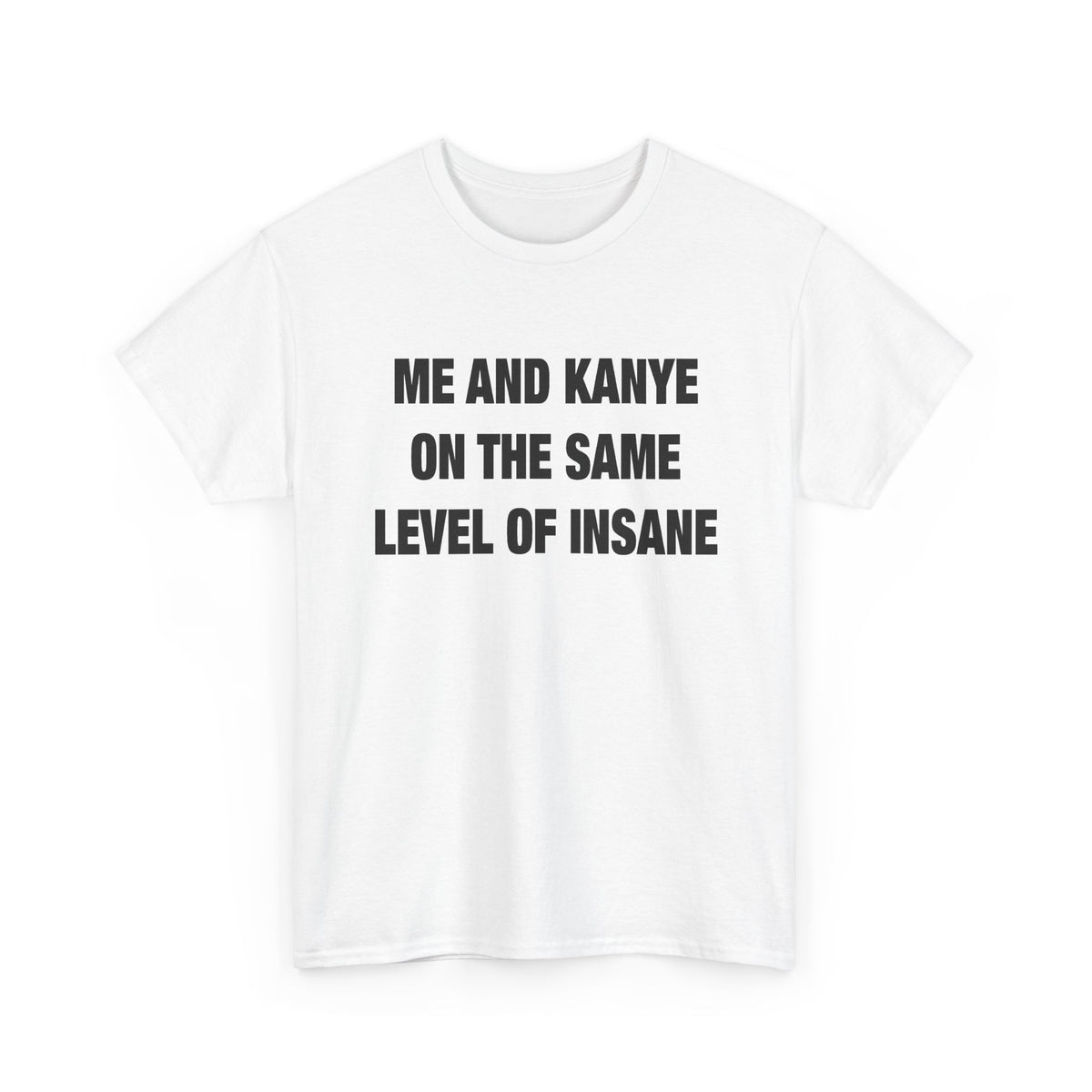 Me and Kanye on the Same Level of Insane T-Shirt