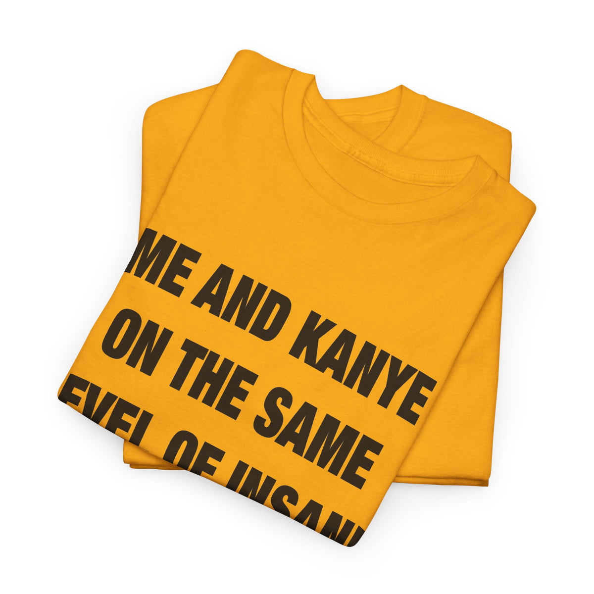 Me and Kanye on the Same Level of Insane T-Shirt
