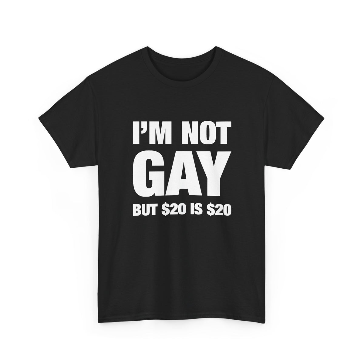 I'm Not Gay But $20 Is $20 T-Shirt