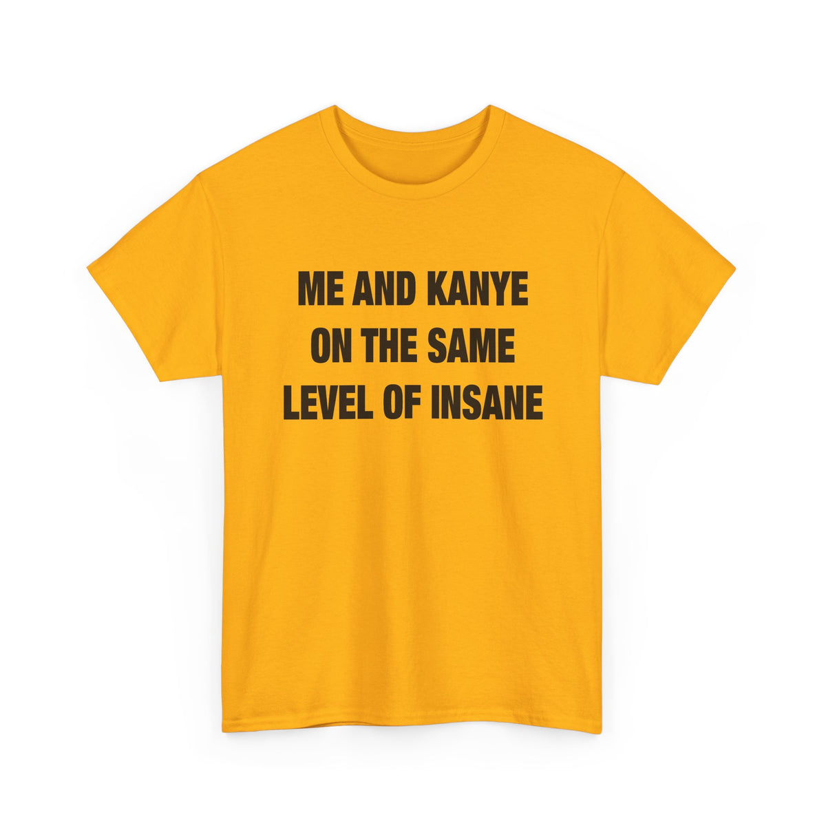 Me and Kanye on the Same Level of Insane T-Shirt