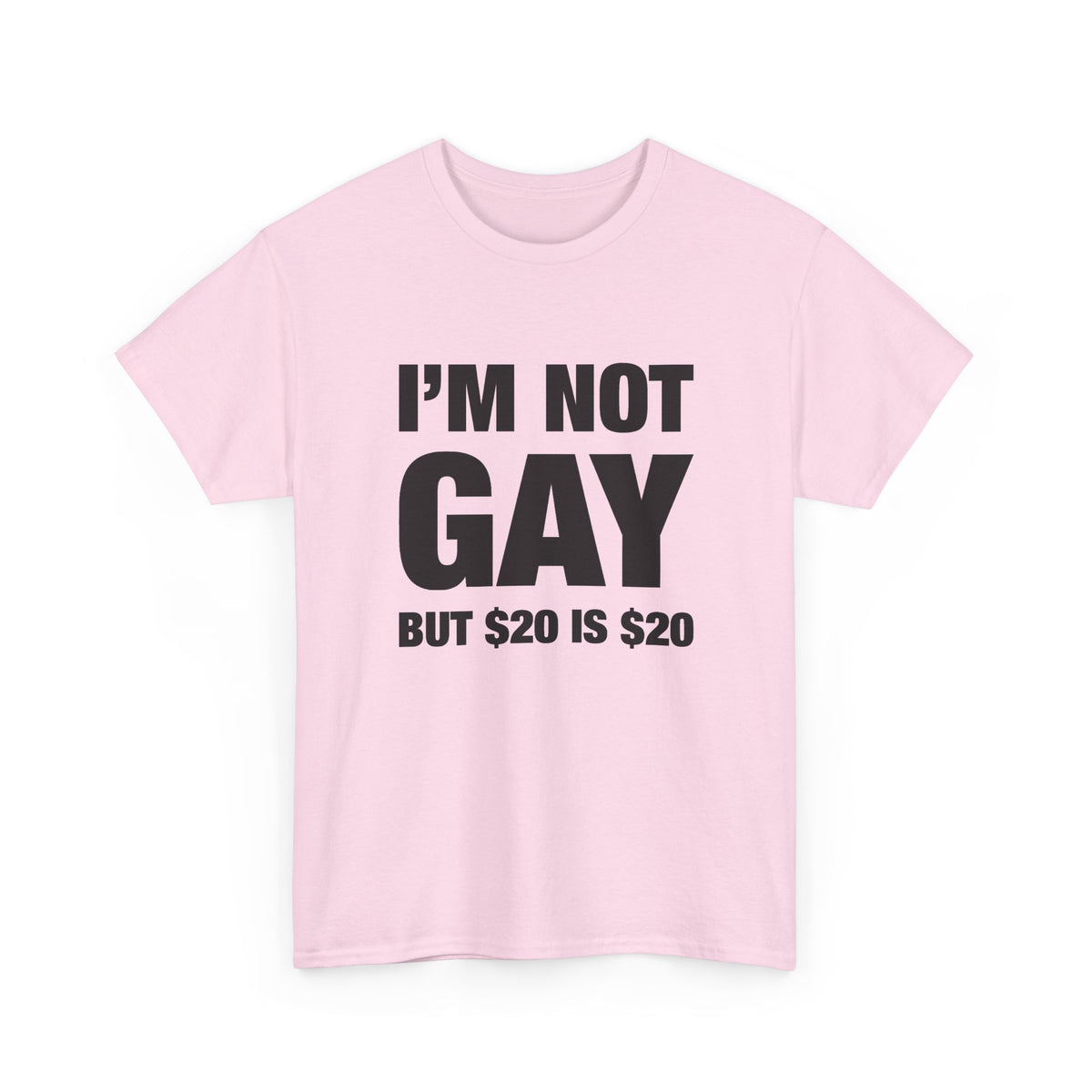 I'm Not Gay But $20 Is $20 T-Shirt