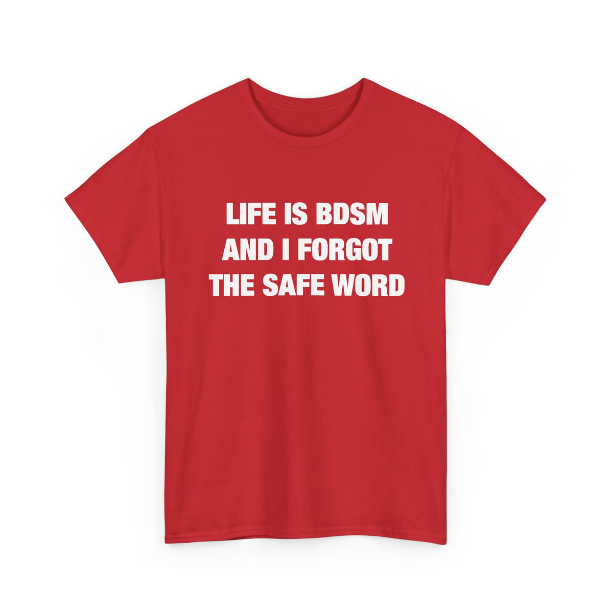 Life Is BDSM and I Forgot the Safe Word T-Shirt