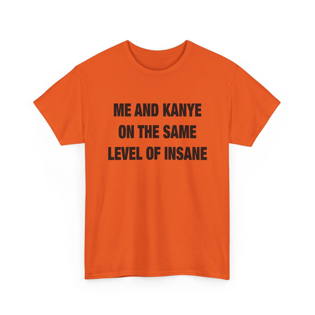 Me and Kanye on the Same Level of Insane T-Shirt