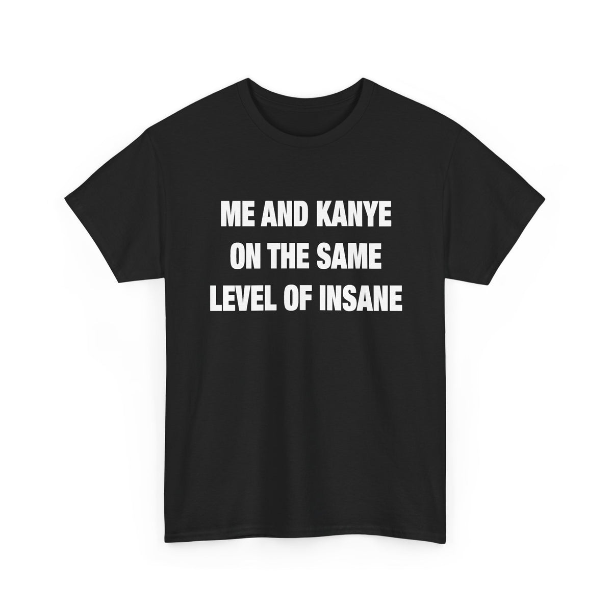 Me and Kanye on the Same Level of Insane T-Shirt