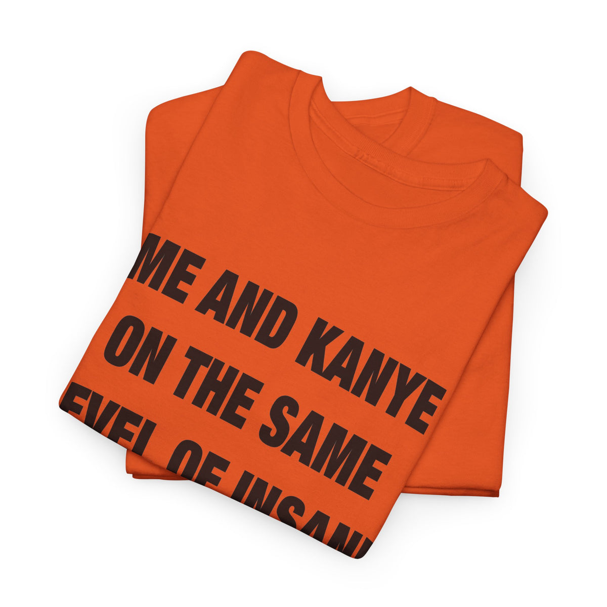 Me and Kanye on the Same Level of Insane T-Shirt
