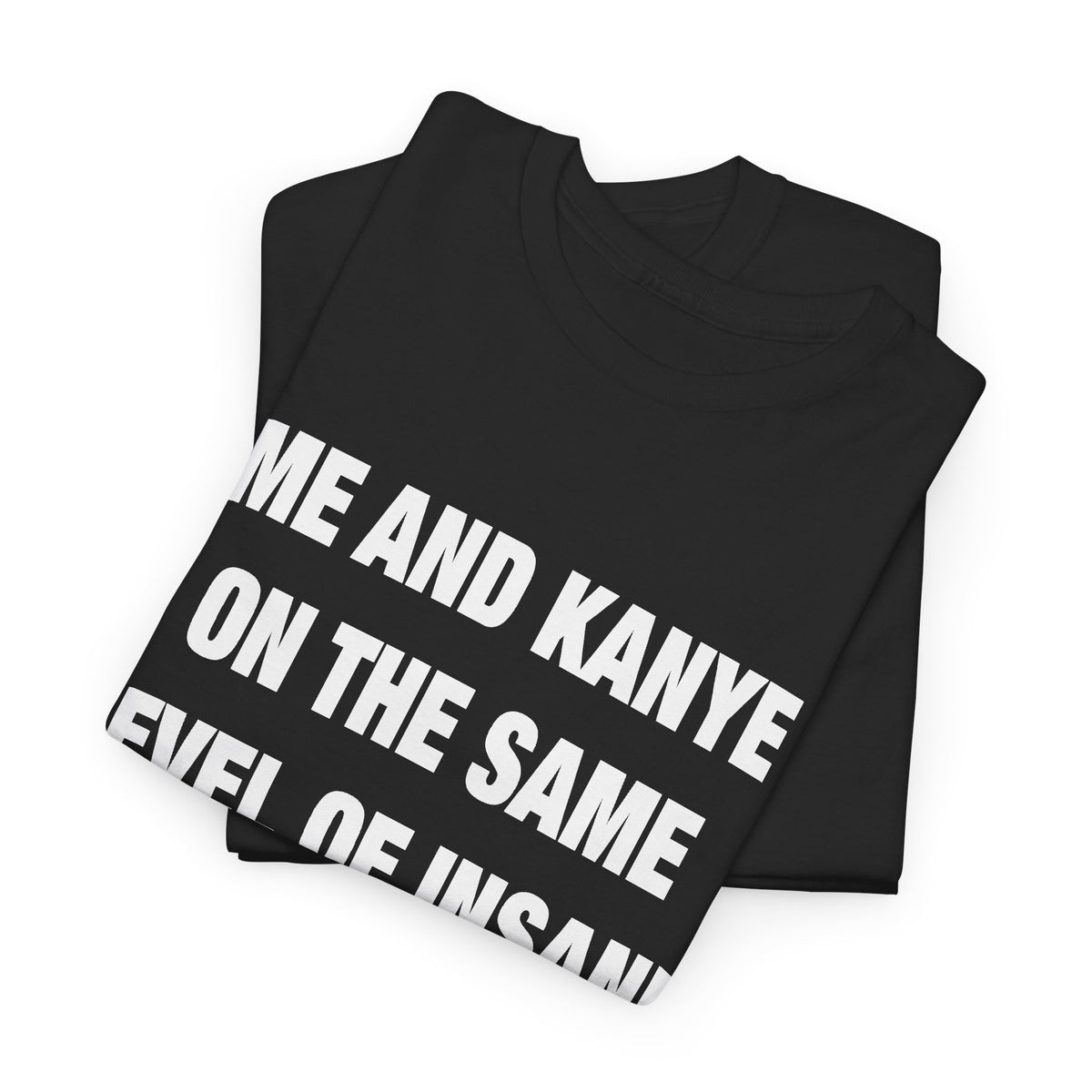 Me and Kanye on the Same Level of Insane T-Shirt